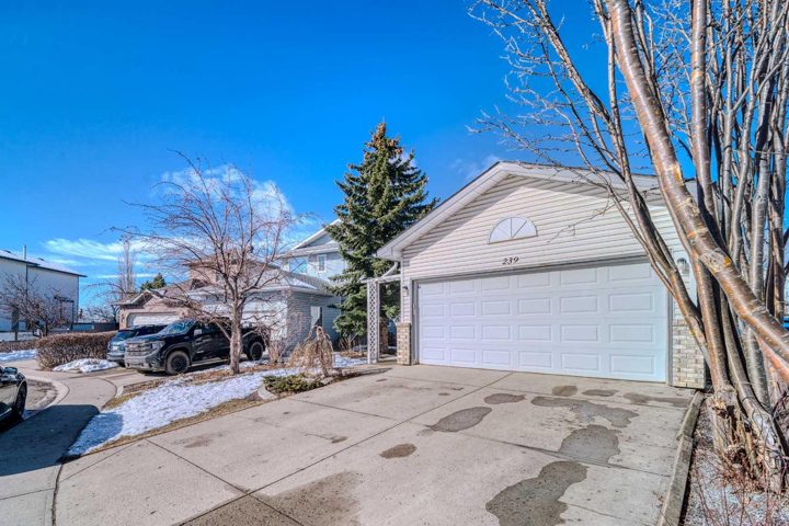 239 Arbour Wood Close NW photo 3
